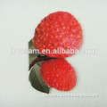 PVC Fridge Magnet, Soft PVC, All Materials Meet EN71/SGS Marks, Various Sizes Available